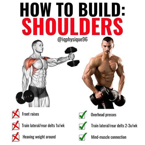 The 4-Week Dumbbell Workout Plan Part 4: Shoulders - GymGuider.com ...