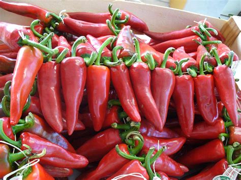 Basque Pimento De Espelette The Famous Basque Region Heirloom Pepper ...