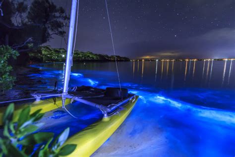 We have glowing beaches here on Earth and they are spectacular ...