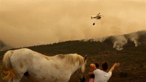 Mass evacuation as wildfire sweeps across Spain’s Tenerife Island