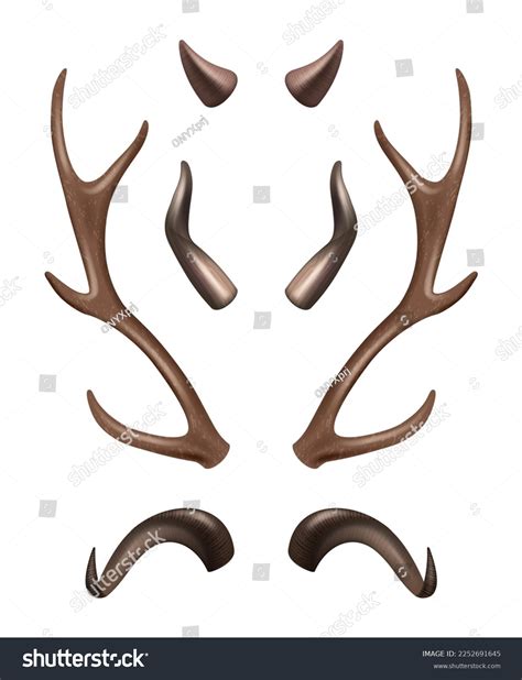 Horns Different Shapes Wild Animals Horns Stock Vector (Royalty Free) 2252691645 | Shutterstock