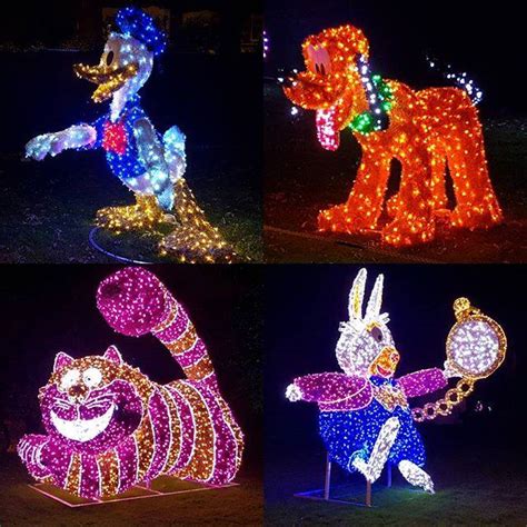 Sunderland Illuminations are... - University of Sunderland