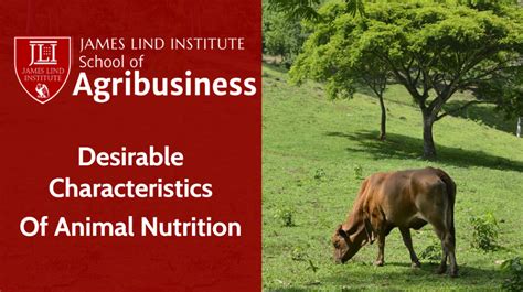 Animal Nutrition: Desirable Characteristics of Nutrition | JLI Blog