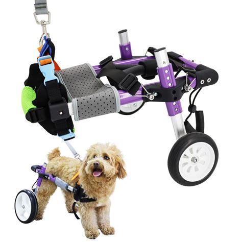 Dog Wheelchair for Paralyzed Dogs