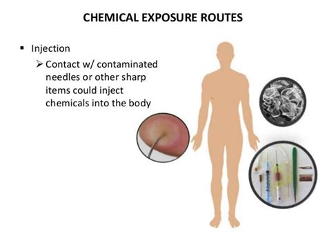 Signs and Symptoms of Chemical Exposure -- CSUEB