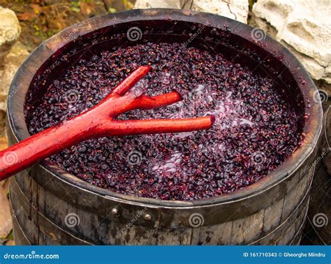 Red Wine Making in Process. Work Mixing Wine in the Process of Fermentation Stock Image - Image ...