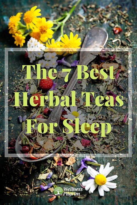 The 7 Best Herbal Teas For Sleep | Best herbal tea, Sleep tea, Herbalism