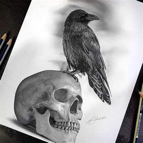 The Raven and The Skull - Pencil Drawing by Julio Lucas on Behance | Pencil drawings, Skull ...
