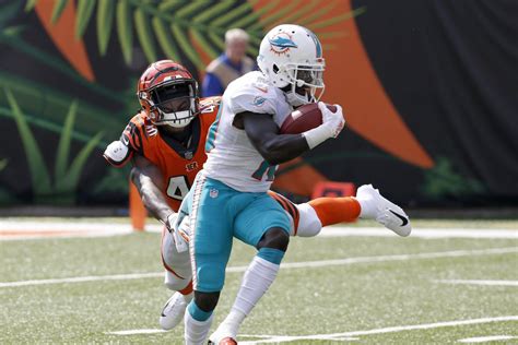 Bears at Dolphins final score and immediate reactions - The Phinsider