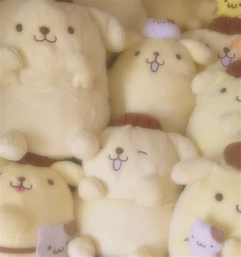 pompompurin plushies i 2024