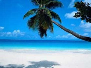 beach | hawaii beach with a palm tree (: | anda (: | Flickr