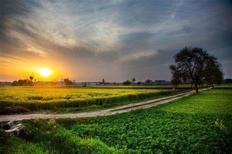 Download Pakistan Farm Countryside Field Earth Nature Landscape ...