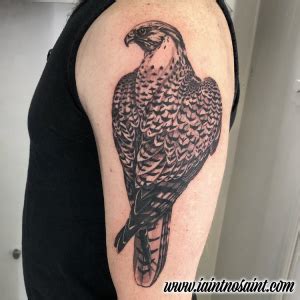 Realistic Falcon Bird Tattoo by Iain Nosaint at the I Ain't No Saint Studio