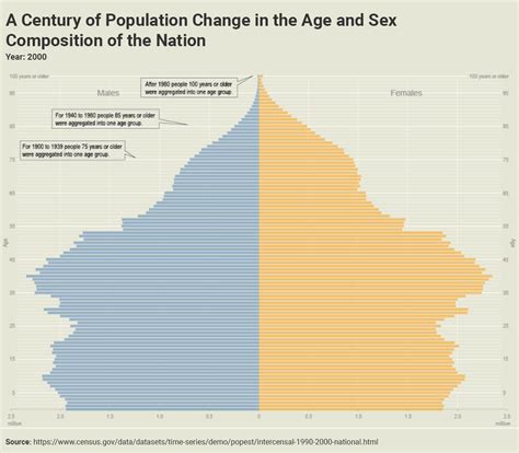 Population Pyramid | Data Visualization Standards