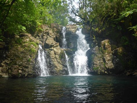 Taveuni Activities & Attractions | Fiji Guide - The Most Trusted Source ...