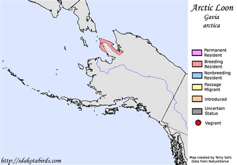 Arctic Loon - Species Range Map