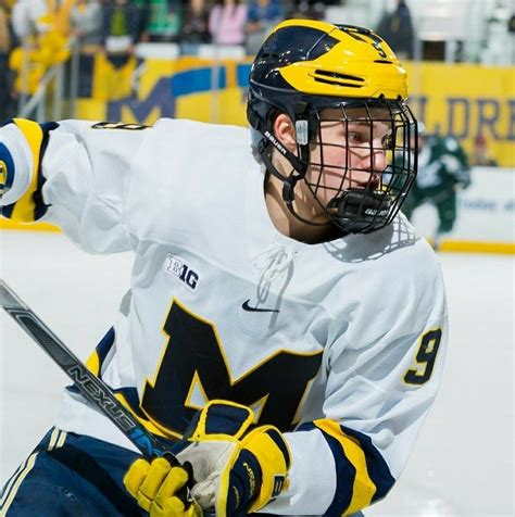 Pin by R S on Michigan Wolverines Hockey | Football helmets, Michigan ...