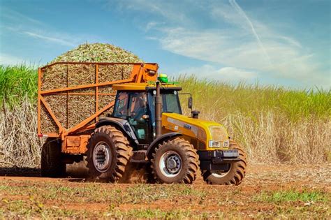 Premium Photo | Machine harvesting sugar cane plantation