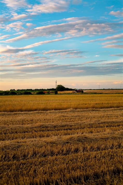 Besplatna slika: pšenica, wheatfield, žetva, poljoprivredno zemljište ...