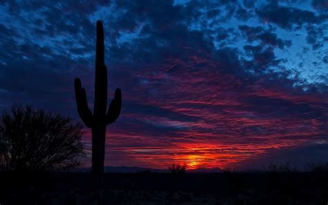 Arizona Sunset Wallpapers - Top Free Arizona Sunset Backgrounds - WallpaperAccess