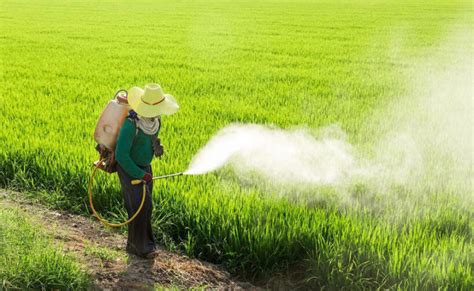 Farmers call on Thai government to overturn ban on pesticide use | Thaiger