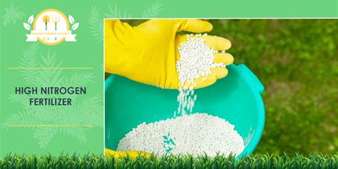 7 Best High Nitrogen Fertilizers