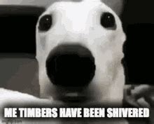 Shiver Me Timbers GIF - Shiver Me Timbers - Discover & Share GIFs