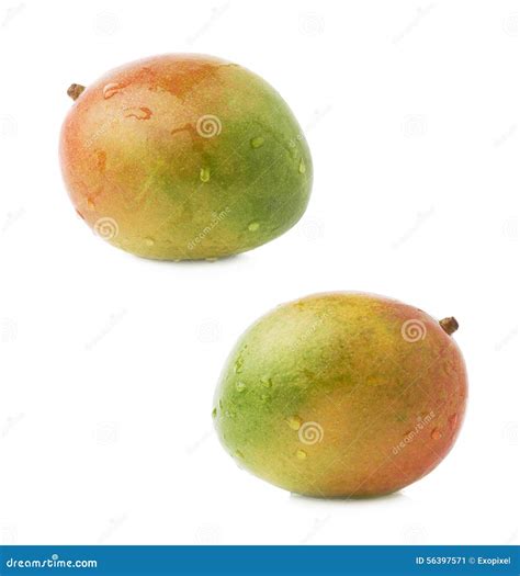 Single Mango Fruit Isolated Stock Image - Image of dieting, background: 56397571