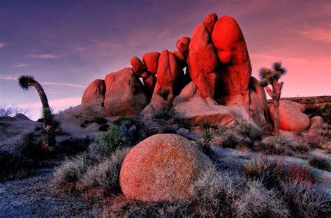 The 20 Best Hikes in Joshua Tree That Will Blow Your Mind