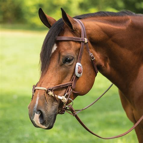 Weaver Leather® Justin Dunn Bitless Western Bridle | Schneiders Saddlery