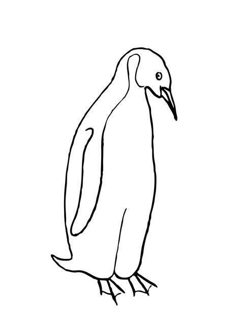 Penguin Drawing Free Stock Photo - Public Domain Pictures