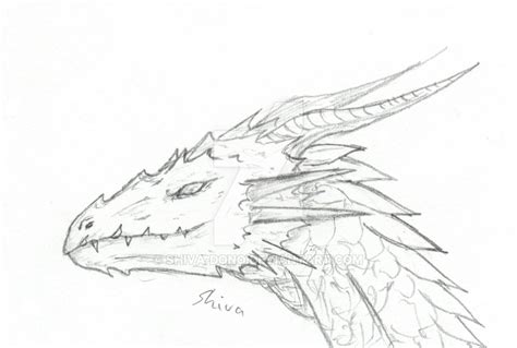 Dragon Head Drawing Sketch - Drawing Skill