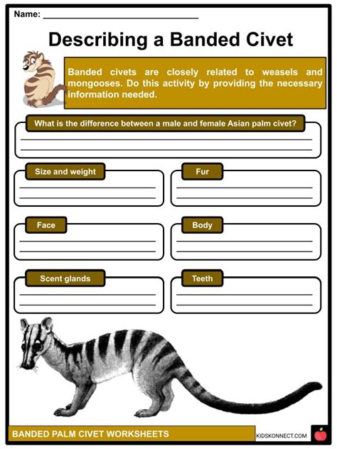 Banded Palm Civet Facts, Worksheets & Physical Description For Kids