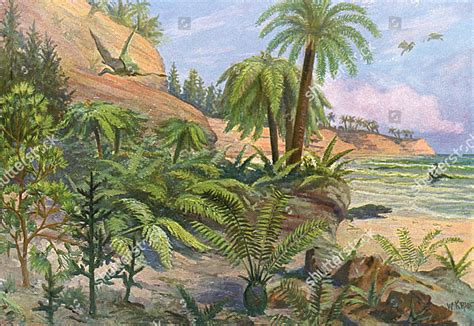 JURASSIC LANDSCAPE 208-146 MILLION BC Editorial Stock Photo - Stock ...