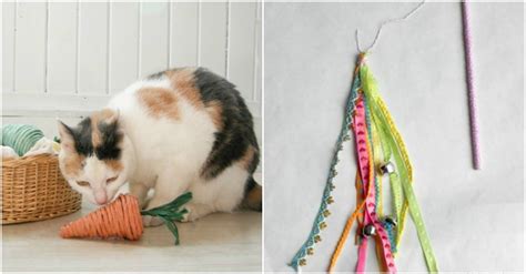 15 Easy DIY Cat Toys You Can Make for Your Kitty TODAY!