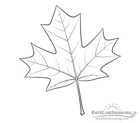 Share 77+ maple leaf pencil sketch super hot - seven.edu.vn