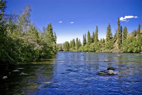 Rio Grande River Fly Fishing