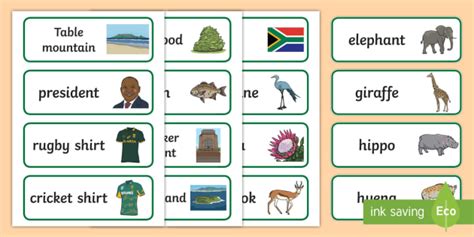 South African Symbols & Animals Word Cards (teacher made)