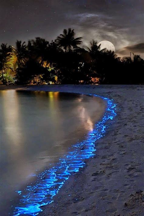 Sea of Stars ~ Vaadhoo Island, Maldives ♡ | Landscape photography, Nature, Nature photography