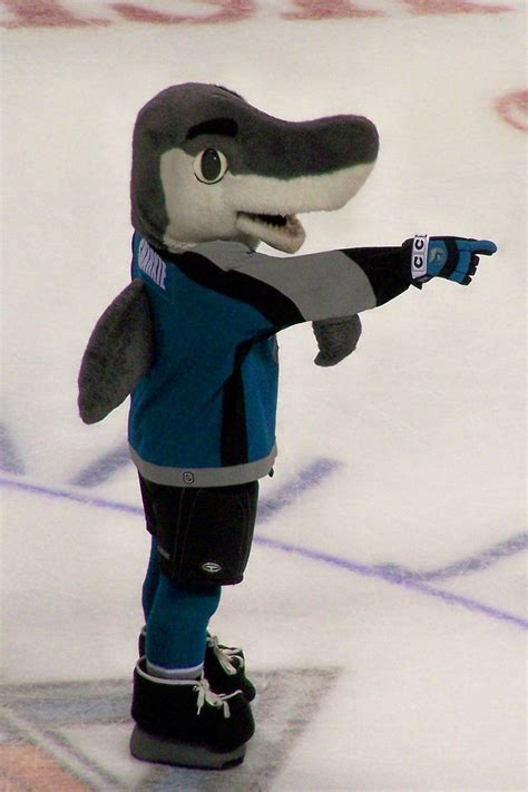 Awesome hugger and mascot. Sharkie, you're the man! | San jose sharks, Shark, Mascot