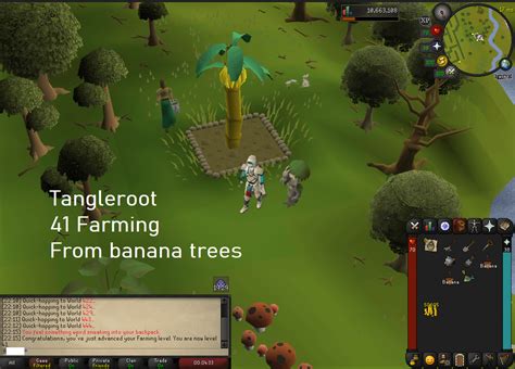 Tangleroot 41 farming btw : r/2007scape