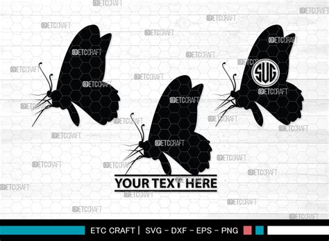 Butterfly Monogram, Butterfly SVG Graphic by ETC Craft Store · Creative ...