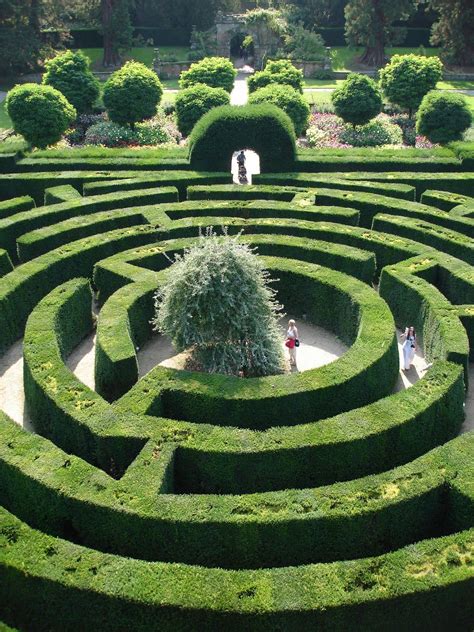 Chatsworth maze garden in England. Weird dream to go into a maze garden. Chatsworth Estate ...