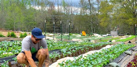 Should your small farm get certified organic? - GrowJourney