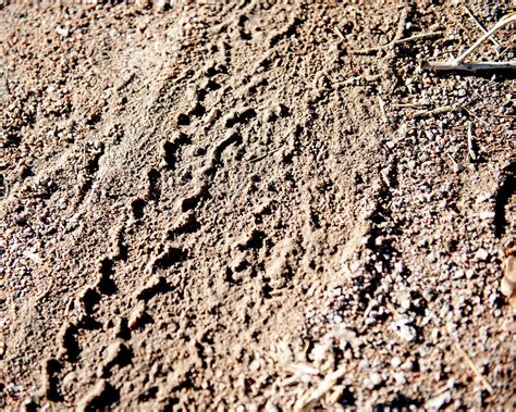 Free Images : path, sand, rock, wood, tractor, field, print, soil, material, geology, clay, tire ...