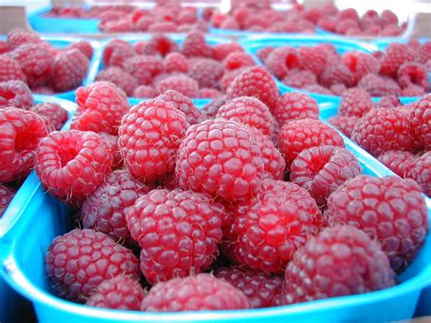 Free Raspberries Stock Photo - FreeImages.com