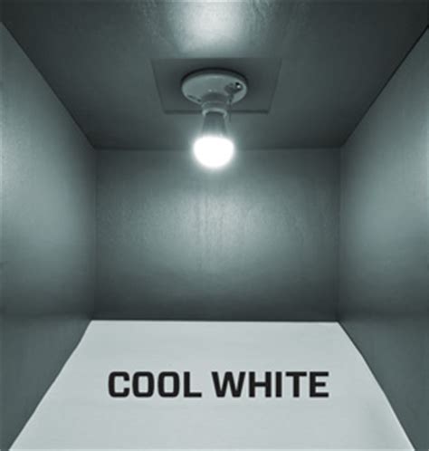 Soft White Vs Cool White Light Bulbs / Which Is Better Daylight Bulbs ...