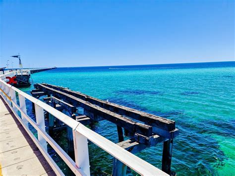 Busselton Jetty Underwater Observatory - Buggybuddys guide to Perth