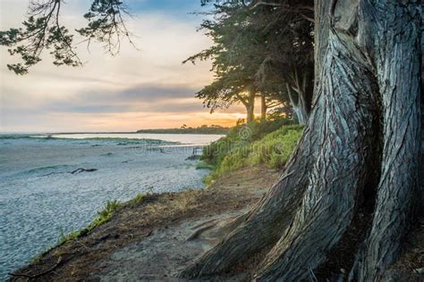 Inverloch Surf Beach at Sunset in Victoria, Australia Stock Photo ...