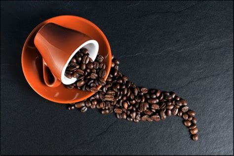 Davidoff Coffee: A Rich Blend of Premium Flavors - Coffee Lovers Guide